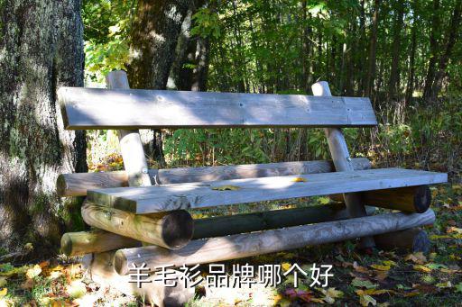 时尚羊毛衫哪个牌子好，羊毛衫品牌哪个好