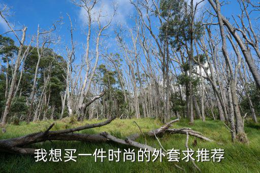 我想买一件时尚的外套求推荐