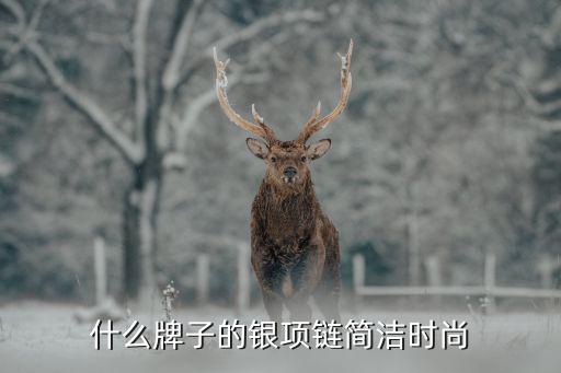 什么牌子的银项链简洁时尚