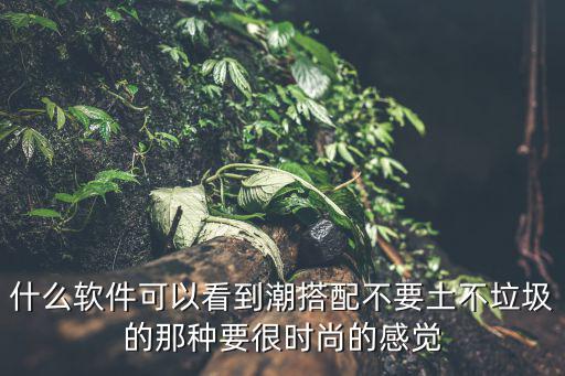 什么软件可以看到潮搭配不要土不垃圾的那种要很时尚的感觉