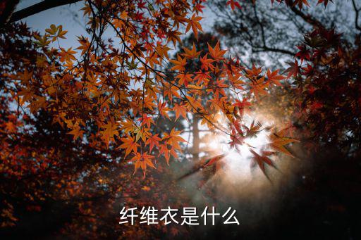 时尚纤维是什么，纤维衣是什么