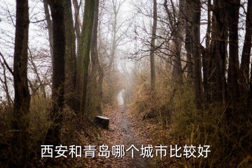 西安和青岛哪个城市比较好