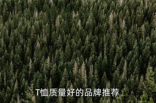 惠州时尚t恤哪个品牌好，T恤质量好的品牌推荐