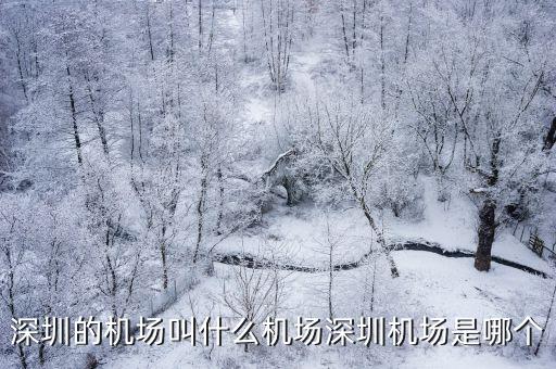 深圳最时尚的机场是哪个，深圳的机场在那里啊