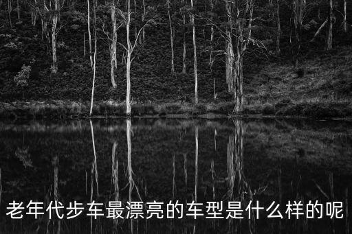 老年代步车最漂亮的车型是什么样的呢