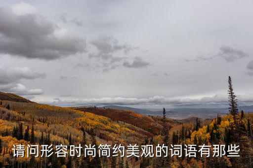 请问形容时尚简约美观的词语有那些