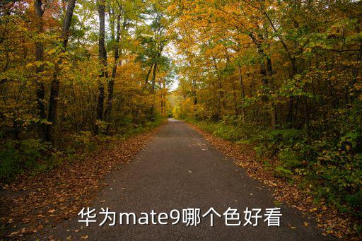 华为mate9哪个色好看