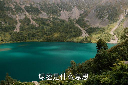 绿毯是什么意思