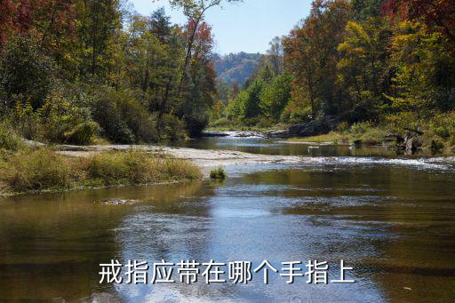 戒指应带在哪个手指上