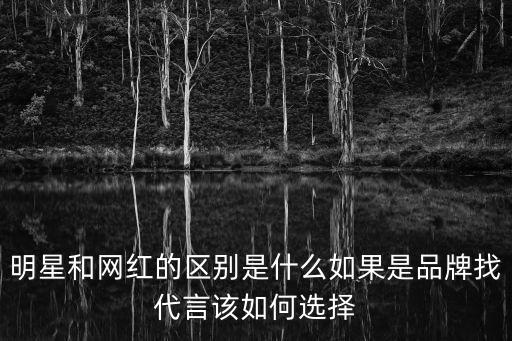 网红和明星哪个时尚，做明星好还是做网红好哪个更厉害它们有什么区别