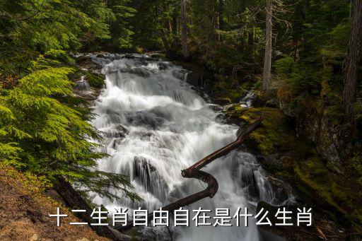十二生肖自由自在是什么生肖