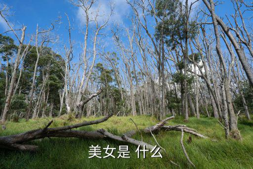 美女是 什么