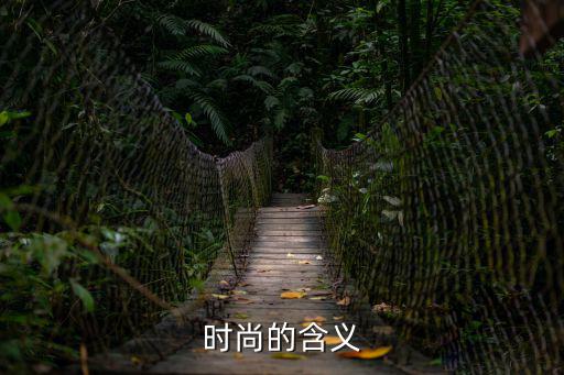 时尚的含义