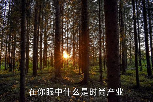 在你眼中什么是时尚产业