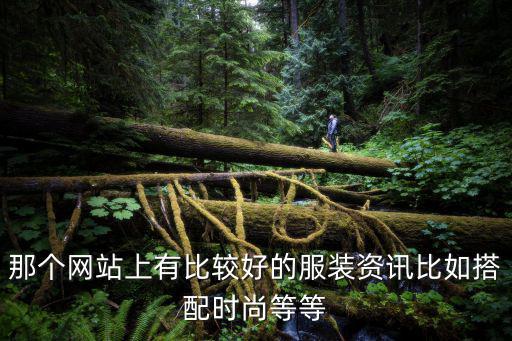 那个网站上有比较好的服装资讯比如搭配时尚等等