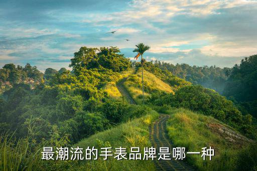 最潮流的手表品牌是哪一种