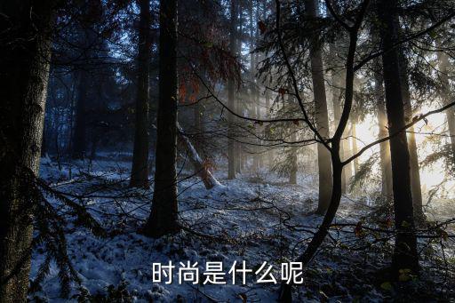 时尚是什么呢