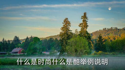 什么是时尚什么是酷举例说明