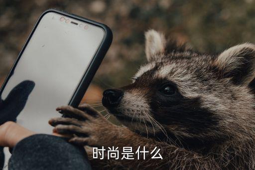 时尚是什么