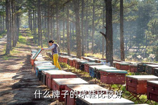 什么牌子的球鞋比较好