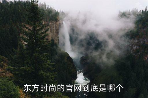 东方时尚的官网到底是哪个