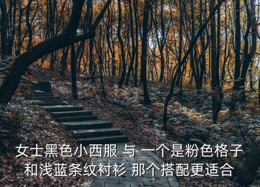 女士黑色小西服 与 一个是粉色格子和浅蓝条纹衬衫 那个搭配更适合
