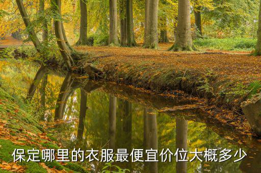 保定哪里的衣服最便宜价位大概多少