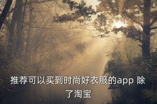 推荐可以买到时尚好衣服的app 除了淘宝