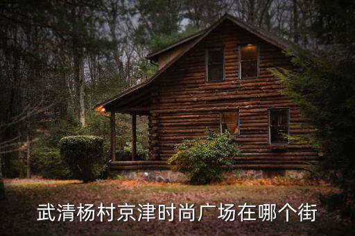 武清杨村京津时尚广场在哪个街
