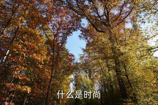 什么是时尚