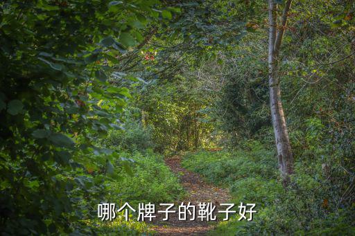 靴子哪个牌子比较经济时尚，马丁靴作为一件不可缺少的时尚单品有什么靠谱的马丁靴品牌推荐吗百
