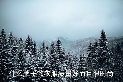 时尚单品哪个品牌好，什么牌子的衣服质量好而且很时尚