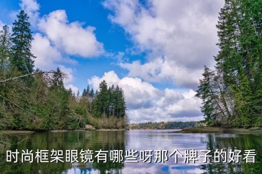 时尚框架眼镜有哪些呀那个牌子的好看