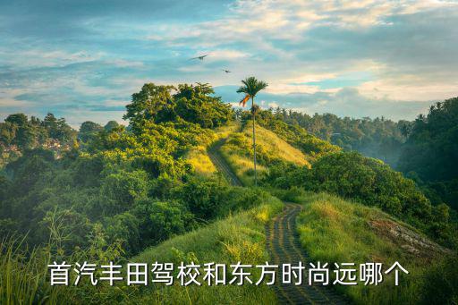 首汽丰田驾校和东方时尚远哪个