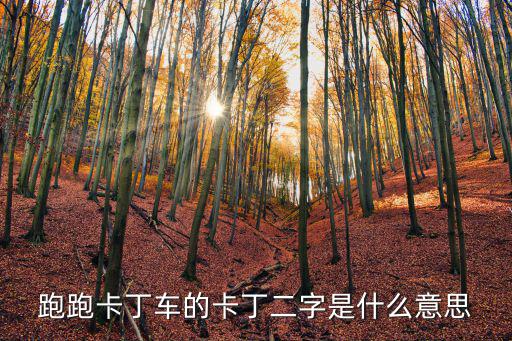 跑跑卡丁车的卡丁二字是什么意思