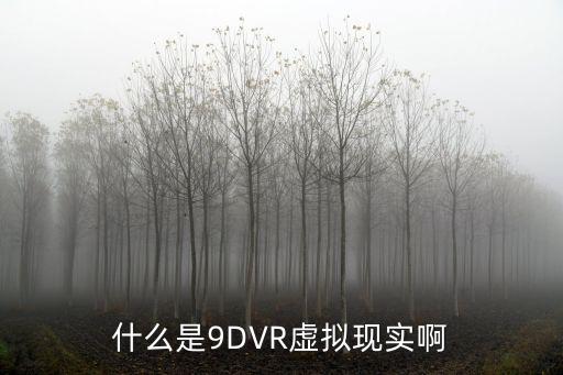 什么是虚拟时尚，什么是9DVR虚拟现实啊