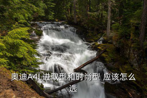 奥迪A4L进取型和时尚型 应该怎么选