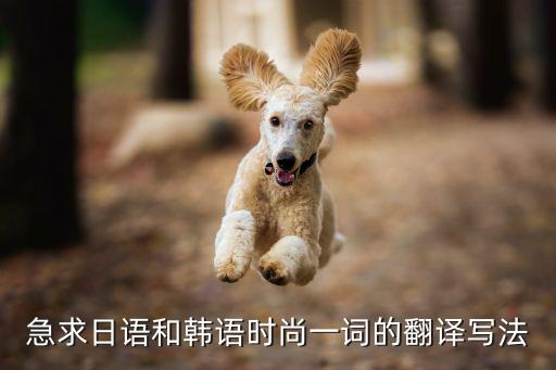 急求日语和韩语时尚一词的翻译写法