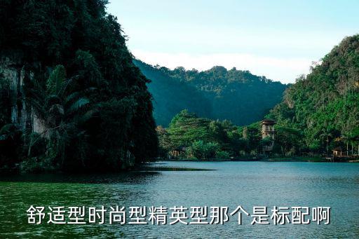 时尚和精英哪个好用点，舒适型时尚型精英型那个是标配啊