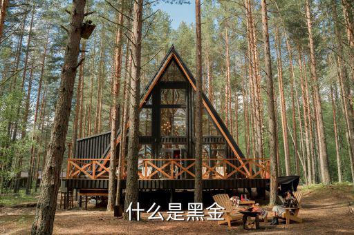 黑金时尚是什么，SEBA黑金是什么