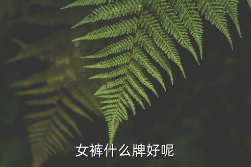 女裤什么牌好呢