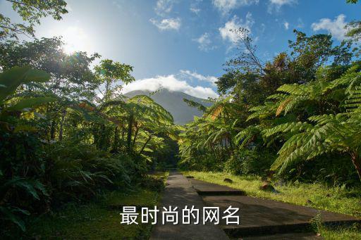 最时尚的网名