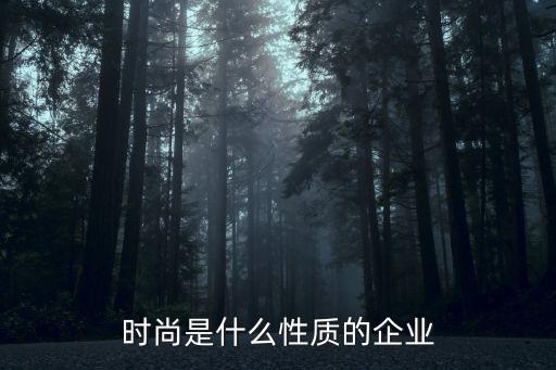 时尚是什么性质的企业
