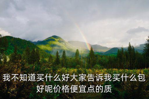 我不知道买什么好大家告诉我买什么包好呢价格便宜点的质