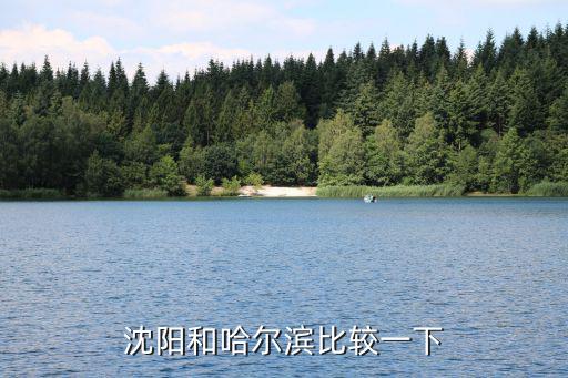 沈阳和哈尔滨比较一下