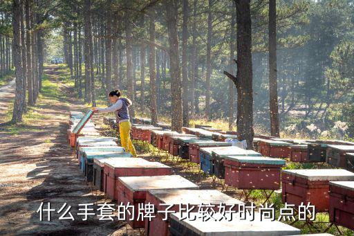 时尚抱枕套哪个品牌好，什么手套的牌子比较好时尚点的
