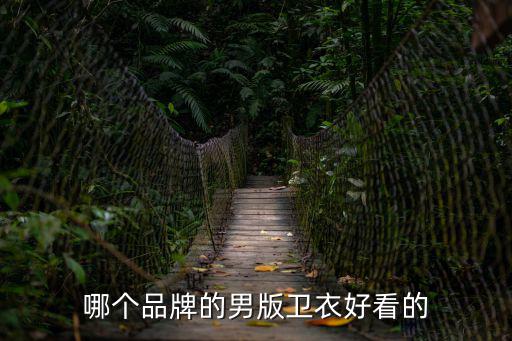 男卫衣哪个品牌时尚，哪个品牌的男版卫衣好看的