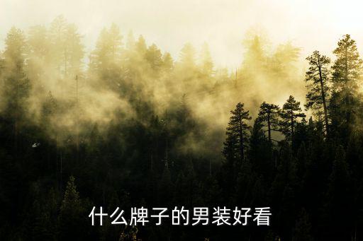 什么牌子的男装好看