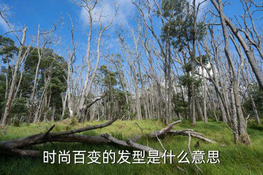 时尚百变的发型是什么意思