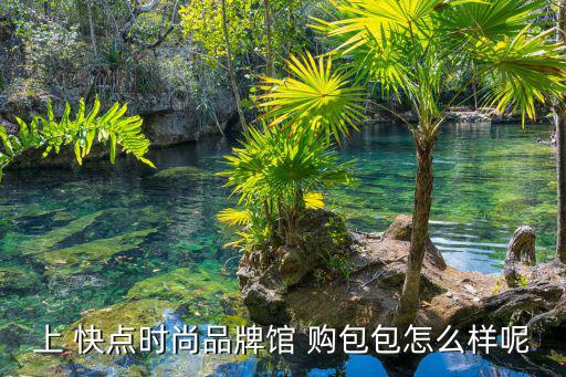 时尚馆买什么，想在牧羊人奢华时尚馆买个包送给姨姨LV还是gucci或者其他合适